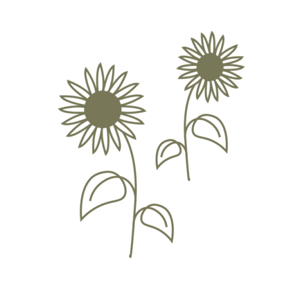 Sonnenblumen/Natur